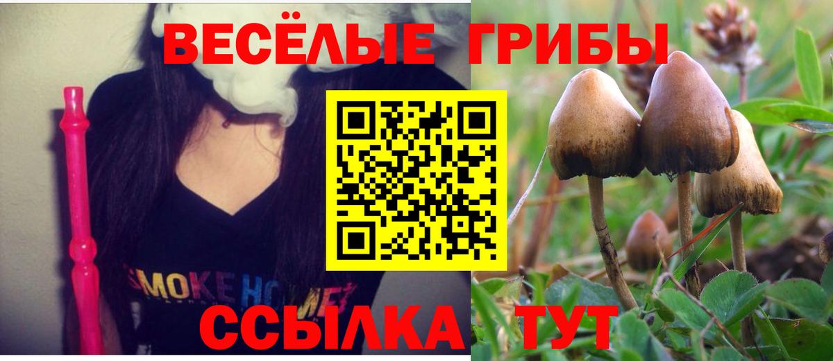 Михайловск  Псилоцибиновые грибы мицелий  Вход с VPN 